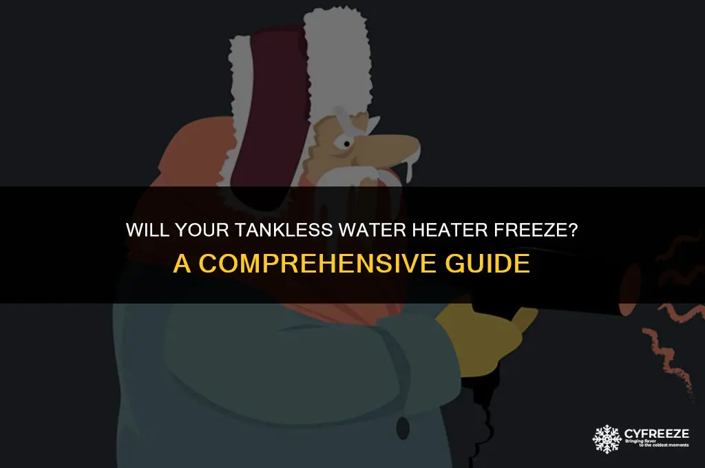 will tankless water heater freeze