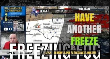 Brace for Impact: Will Texas Experience Another Devastating Freeze?