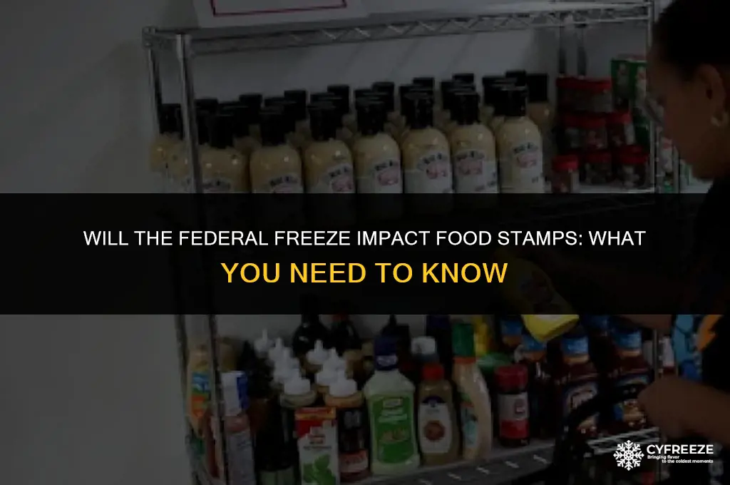 will the federal freeze affect food stamps