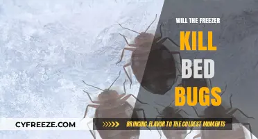 Can Freezing Temperatures Eliminate Bed Bugs Effectively?