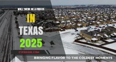 Texas Winter Forecast 2025: Preparing for Potential Freezes