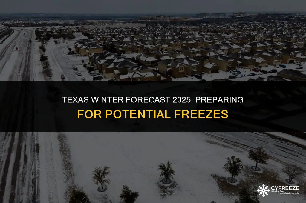 will there be a freeze in texas 2025