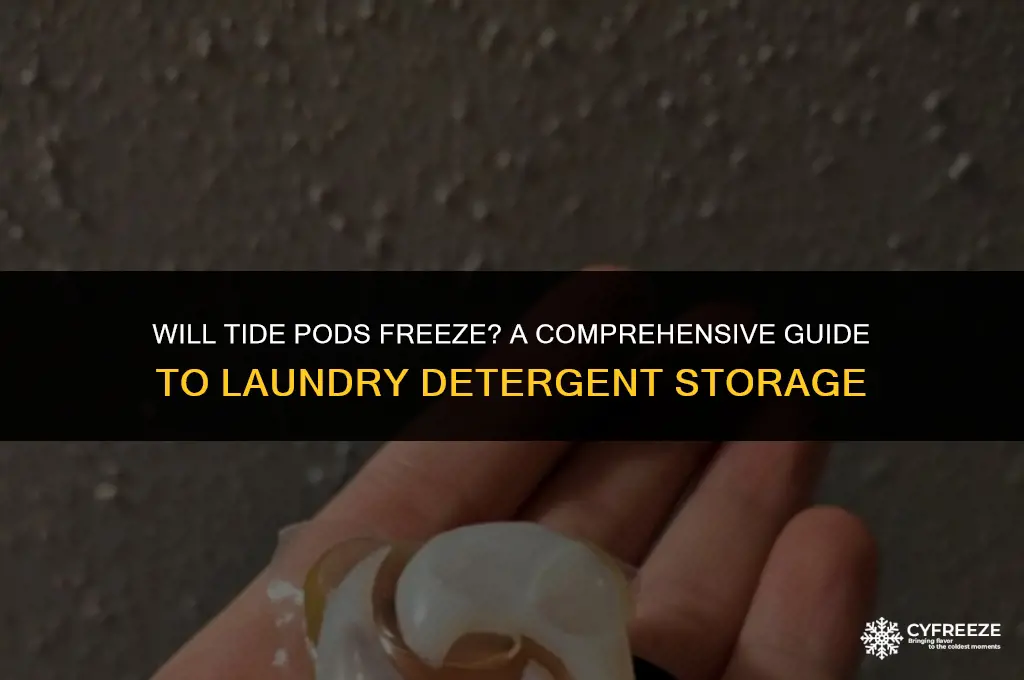 will tide pods freeze
