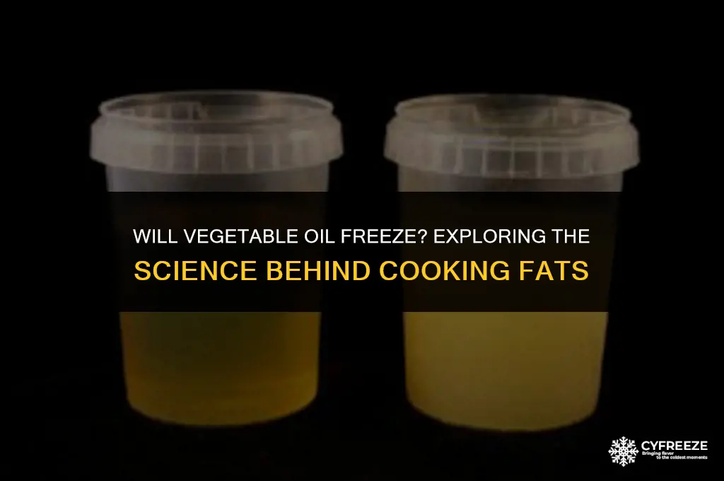 will vegetable oil freeze