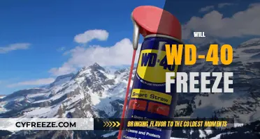 Will WD-40 Freeze? Exploring the Limits of this Multi-Purpose Lubricant