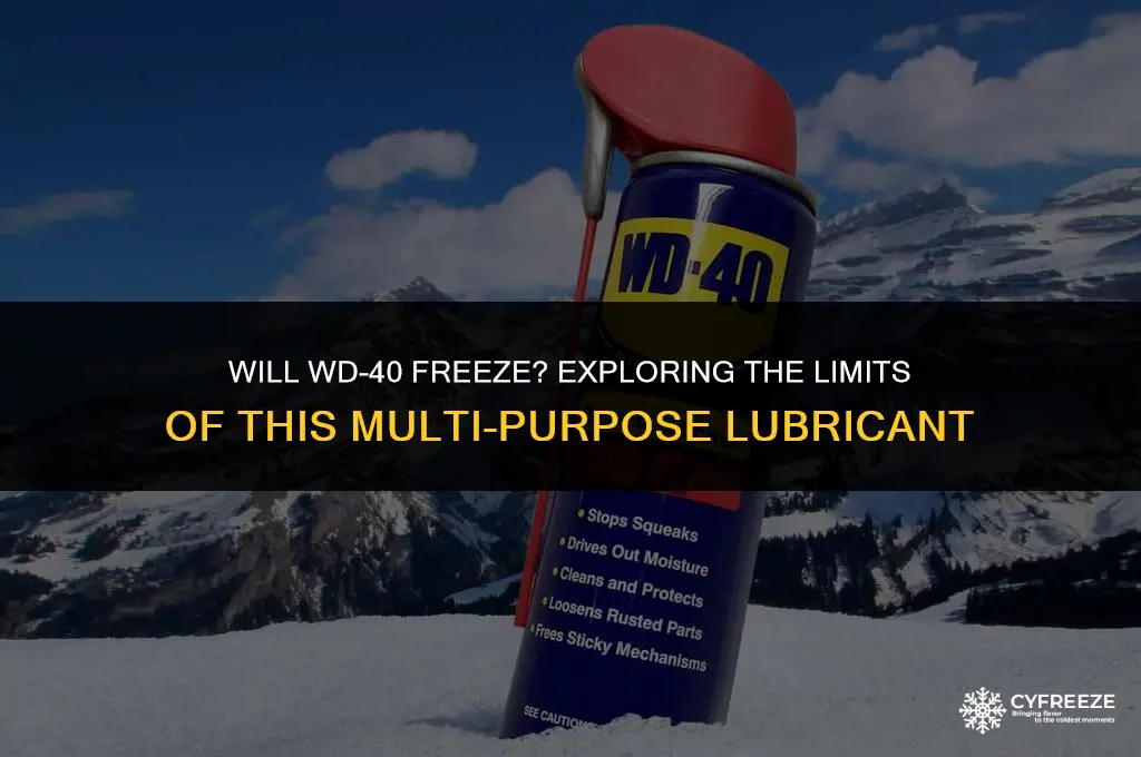 will wd-40 freeze