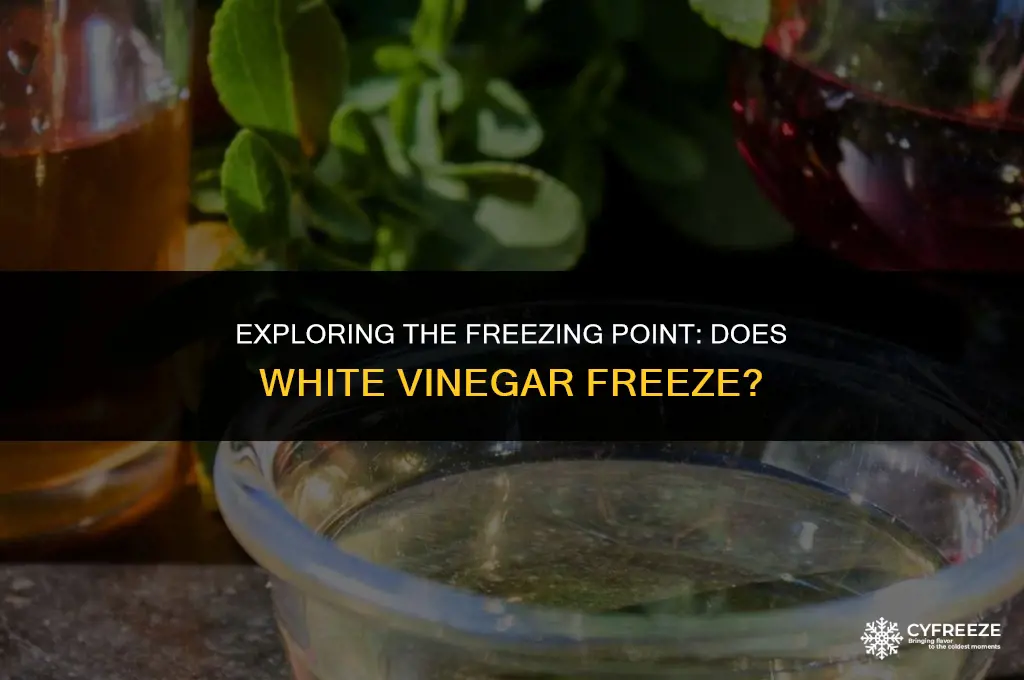 will white vinegar freeze