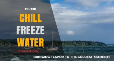 Chilling Insights: Can Wind Chill Freeze Water?