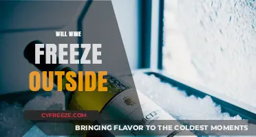 Chilling Truths: Will Your Wine Survive the Outdoor Freeze?
