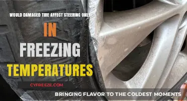 Damaged Tire Impact on Steering in Freezing Conditions Explained