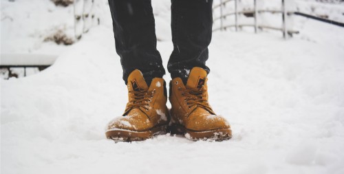 Freeze Trends